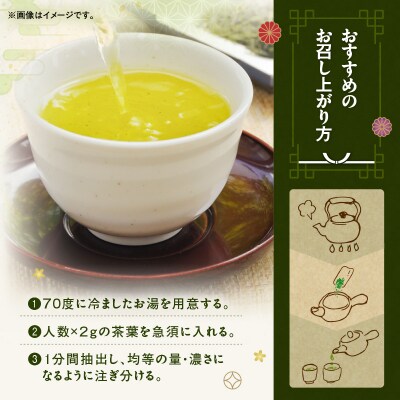 かごしま霧島茶 (100g×12袋)　K346-002_06