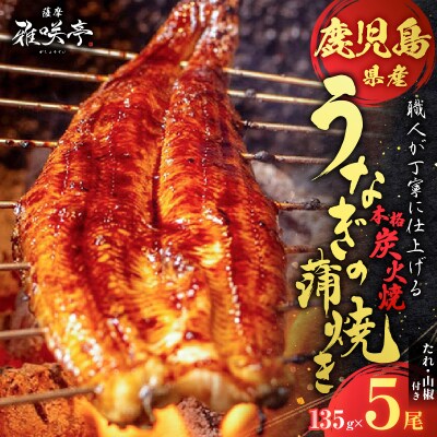 職人が丁寧に仕上げる本格炭火焼 鹿児島県産うなぎの蒲焼き 5尾　K282-001_02