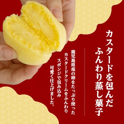 かすたどん 24個入　K167-002