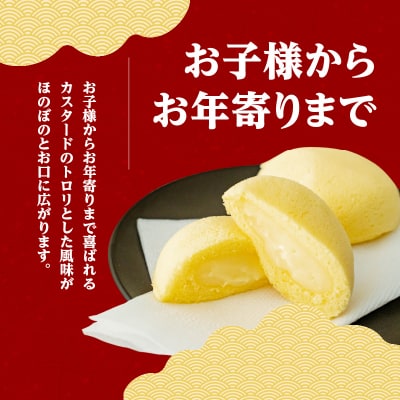 かすたどん 24個入　K167-002