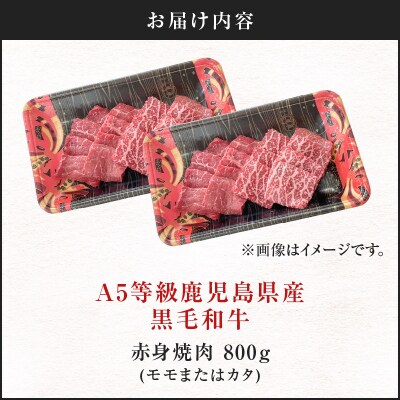 A5等級 鹿児島県産 黒毛和牛 赤身 焼肉 800g　K002-051_08