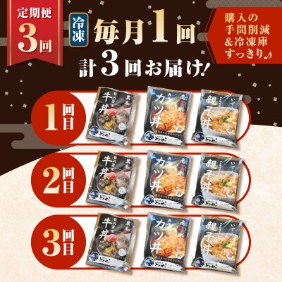 【全3回定期便】鹿児島の丼の具3種セット(1人前)　K258-T05_01a