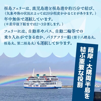 桜島フェリー人気のオリジナル扇子　K168-005