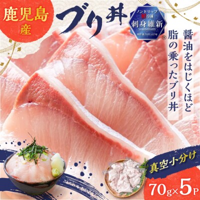 鹿児島産 ブリ丼 70g×5セット　K100-013