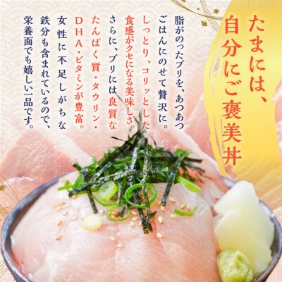 鹿児島産 ブリ丼 70g×5セット　K100-013