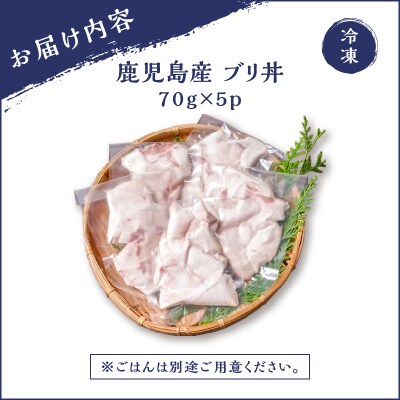 鹿児島産 ブリ丼 70g×5セット　K100-013