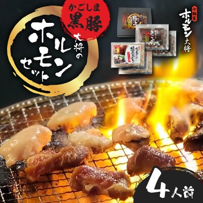 かごしま黒豚 ホルモンセット4人前 (2×2セット)　K378-001_02