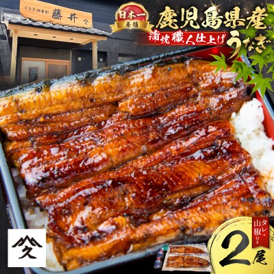 養殖日本一鹿児島県産うなぎ蒲焼職人仕上げ2尾セット　K399-001