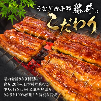 養殖日本一鹿児島県産うなぎ蒲焼職人仕上げ2尾セット　K399-001