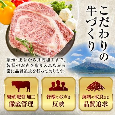 北さつま牛 リブロースブロック　K137-009