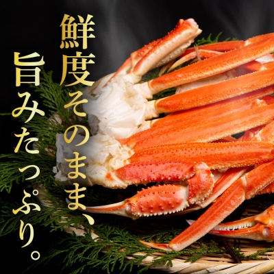 ずわいがに(脚肉)約1kg【er001-049-c】