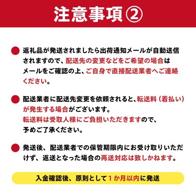 しなやかハンガー12P　
