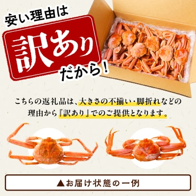 訳ありえりも産蒸しオオズワイガニ3kg【er001-102-a】