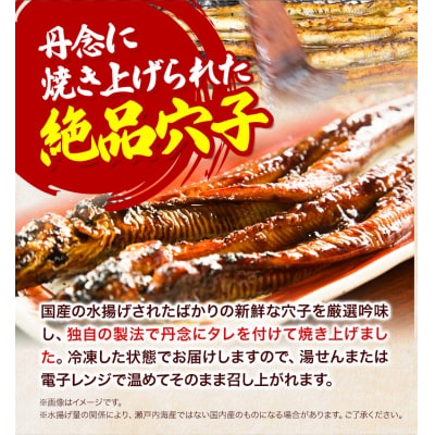焼き穴子(A-06a)