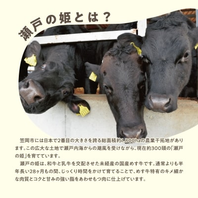 瀬戸の姫(スライス)300g　A-10a