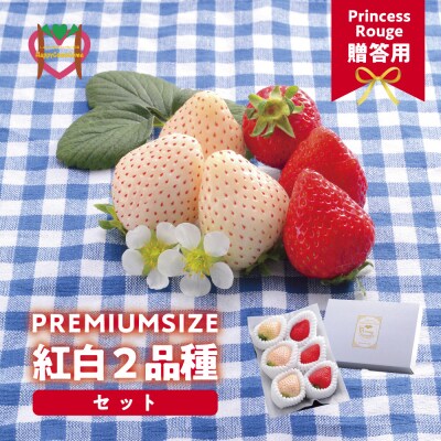 【先行予約】しあわせ届けるいちご農園HappyComeComeの紅白いちご2品種食べ比べセット