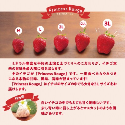 【先行予約】しあわせ届けるいちご農園HappyComeComeの紅白いちご2品種食べ比べセット