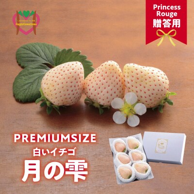 【先行予約】しあわせ届けるいちご農園HappyComeComeの贈答用 白いちごー月の雫ーB-92
