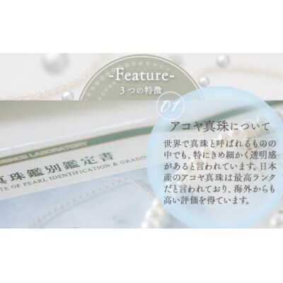 あこや真珠(ホワイトグリーン)のピアス(8.5mm-9.0mm)ケース付き【F-04-WGピアス】