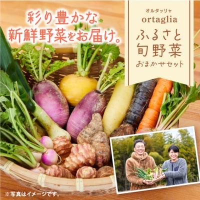 季節の旬野菜 10品 おまかせセット(農薬・化学肥料不使用(栽培期間中))　A-229 