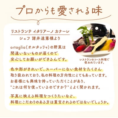 季節の旬野菜 10品 おまかせセット(農薬・化学肥料不使用(栽培期間中))　A-229 