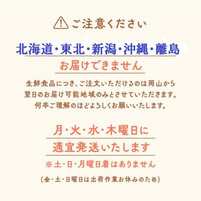 季節の旬野菜 10品 おまかせセット(農薬・化学肥料不使用(栽培期間中))　A-229 