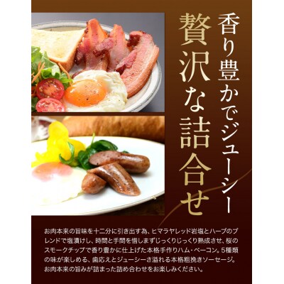 ときわヴィレッジ特撰ハムソーセージセット ハム 手造り 燻製 ハムセット K-09