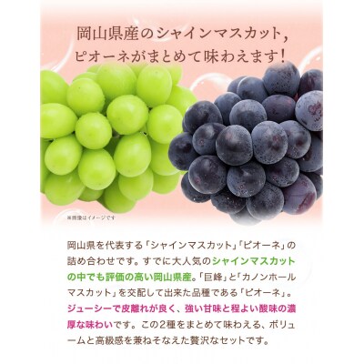 シャインマスカット・ピオーネ詰合せ約1kg　令和8年産先行受付　H-21a