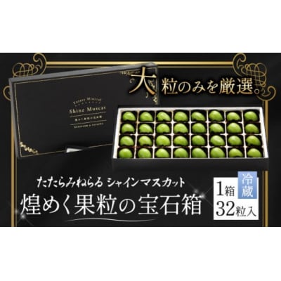 たたらみねらるシャインマスカット煌めく果粒の宝石箱(2026年産先行受付)1-43a