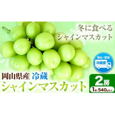 岡山県産・冷蔵シャインマスカット(540g以上2房入り) H-28b