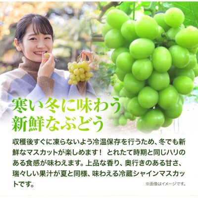 岡山県産・冷蔵シャインマスカット(540g以上2房入り) H-28b