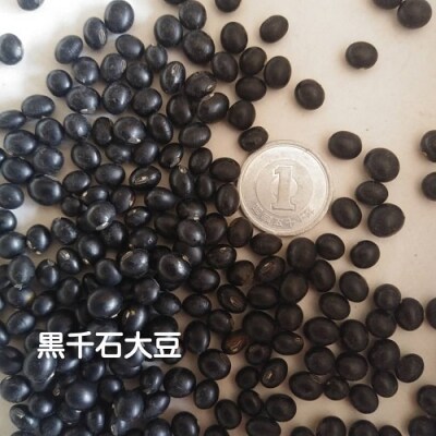 BriGarden こだわり健康セット　B-181