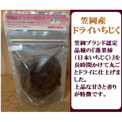 笠岡産　ドライいちじくよくばりセット　B-180
