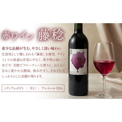 東山ワイン2025 750ml 藤稔 ピオーネ 2本セット 東山農園《30日以内に出荷予定(土日祝除