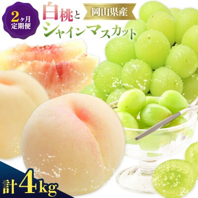 【2027年発送先行予約】ぶどう 白桃 2ヶ月 定期便 岡山の白桃とシャインマスカット 計4kg