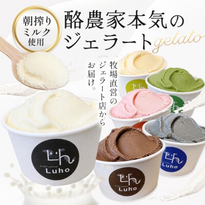 アイス スイーツ ジェラート 酪農家本気のジェラート 8個 《30日以内に出荷予定(土日祝除く)》