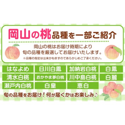 【2027年先行予約】岡山白桃2種食べ比べ 約750g(3玉)×2種【配送不可地域:離島】