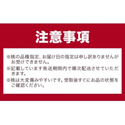 桃 岡山県産 黄金桃 6玉 1.6kg以上《8月下旬-9月中旬頃出荷》【配送不可地域あり】