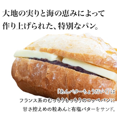 北海道産 小麦 100% あんバター&あずきちょうだいセット F21H-537