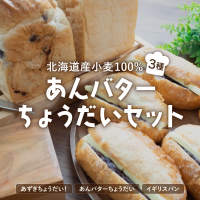 北海道産 小麦 100% あんバターちょうだいセット  F21H-538