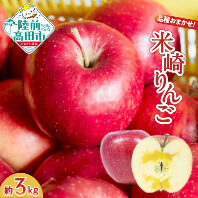 【旬のりんごをお届け!】 米崎りんご 約3kg 品種おまかせ ★大和田果樹園★ 旬 りんご