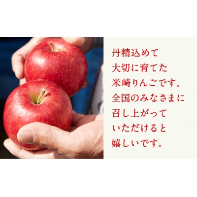 陸前高田市産 米崎りんご 約3kg 品種おまかせ ★海の見えるりんご屋「つなぎ」★ 旬 りんご