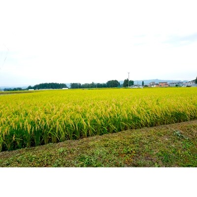 令和2年産あきたこまち精米8kg (2kg×4袋) 秋田県特別栽培米 あべ倶楽部