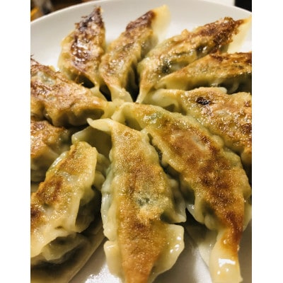シルクポーク餃子　10個入×10パック