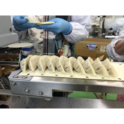 シルクポーク餃子　10個入×10パック