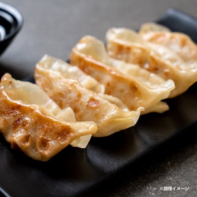 シルクポーク餃子　10個入×10パック