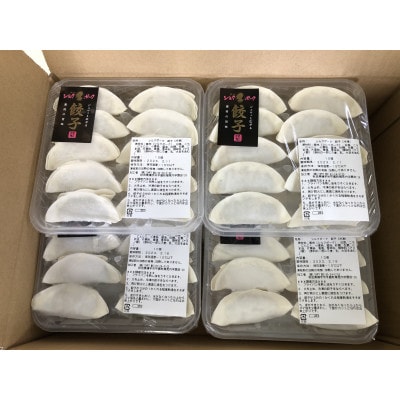 シルクポーク餃子　10個入×10パック