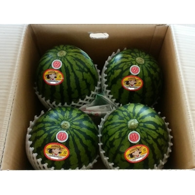 【秋田県横手市産】小玉すいか　あきた夏丸チッチェ　4玉セット