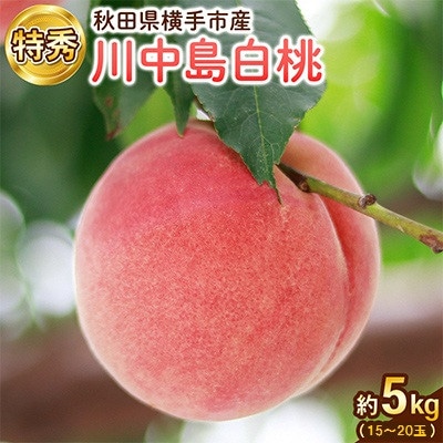 【秋田県横手市産】白桃　特秀　15～20玉(約5kg)