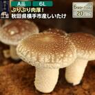 しいたけ A品 6L (約150g)×20パック